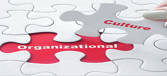 Organizational Culture